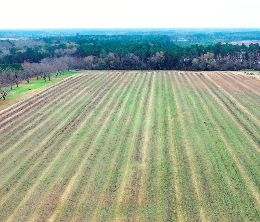 Burkhalter Road Photo