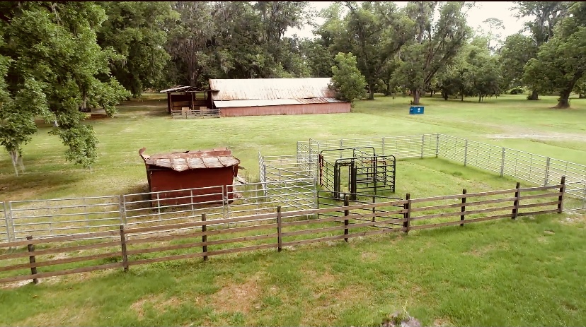 Gibbs Street Mini Farm Photo