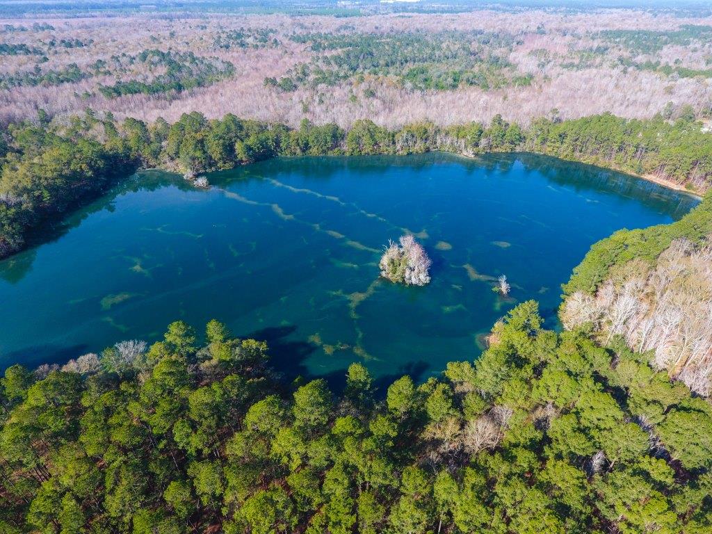 Strickland River Tract Photo