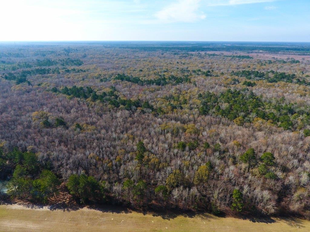 Strickland River Tract Photo