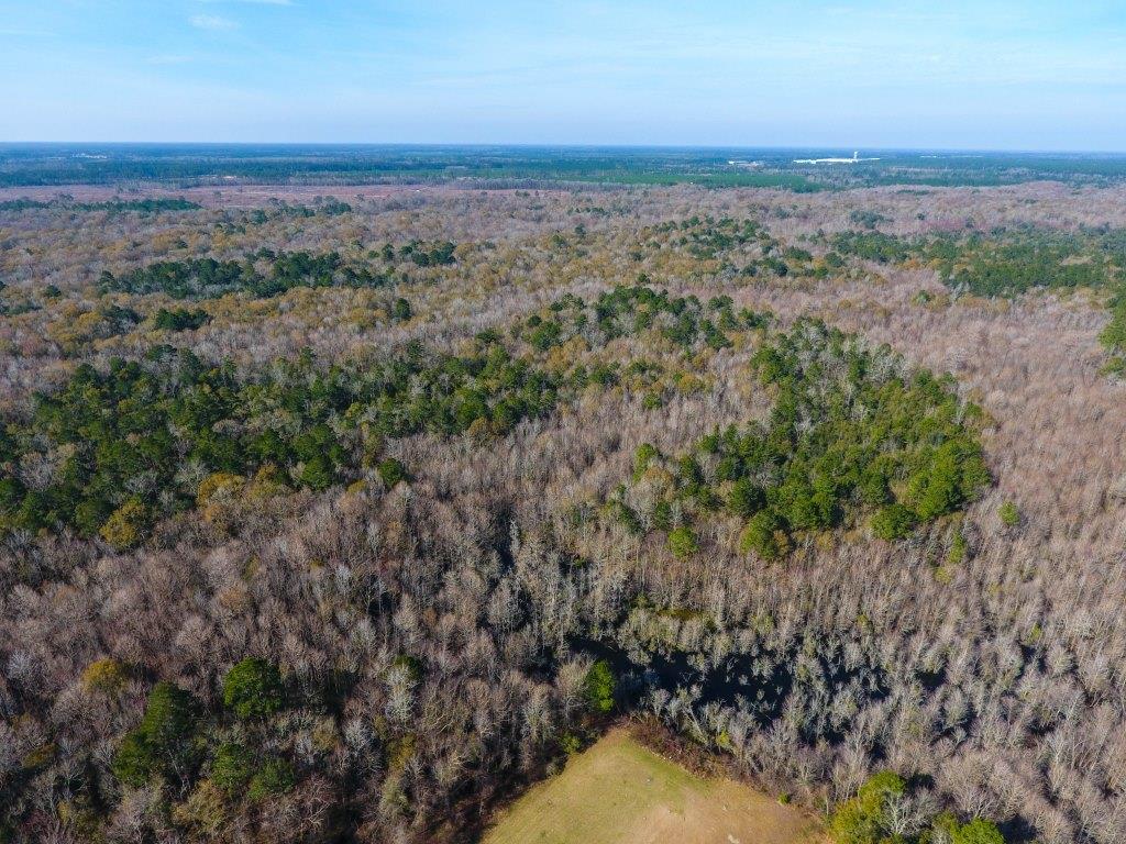 Strickland River Tract Photo