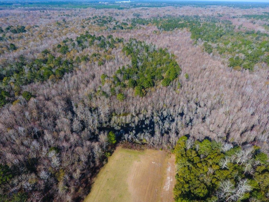 Strickland River Tract Photo