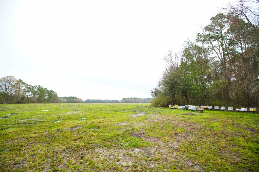 Duncan Hand Farm Photo