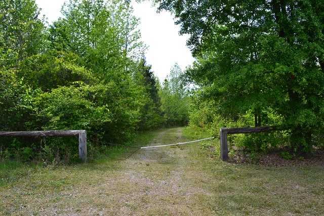 Meadows Pond Photo