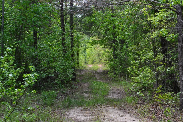 Meadows Pond Photo