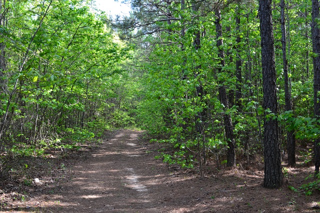 Luthersville Road Photo