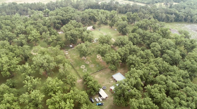 Gibbs Street Mini Farm Photo