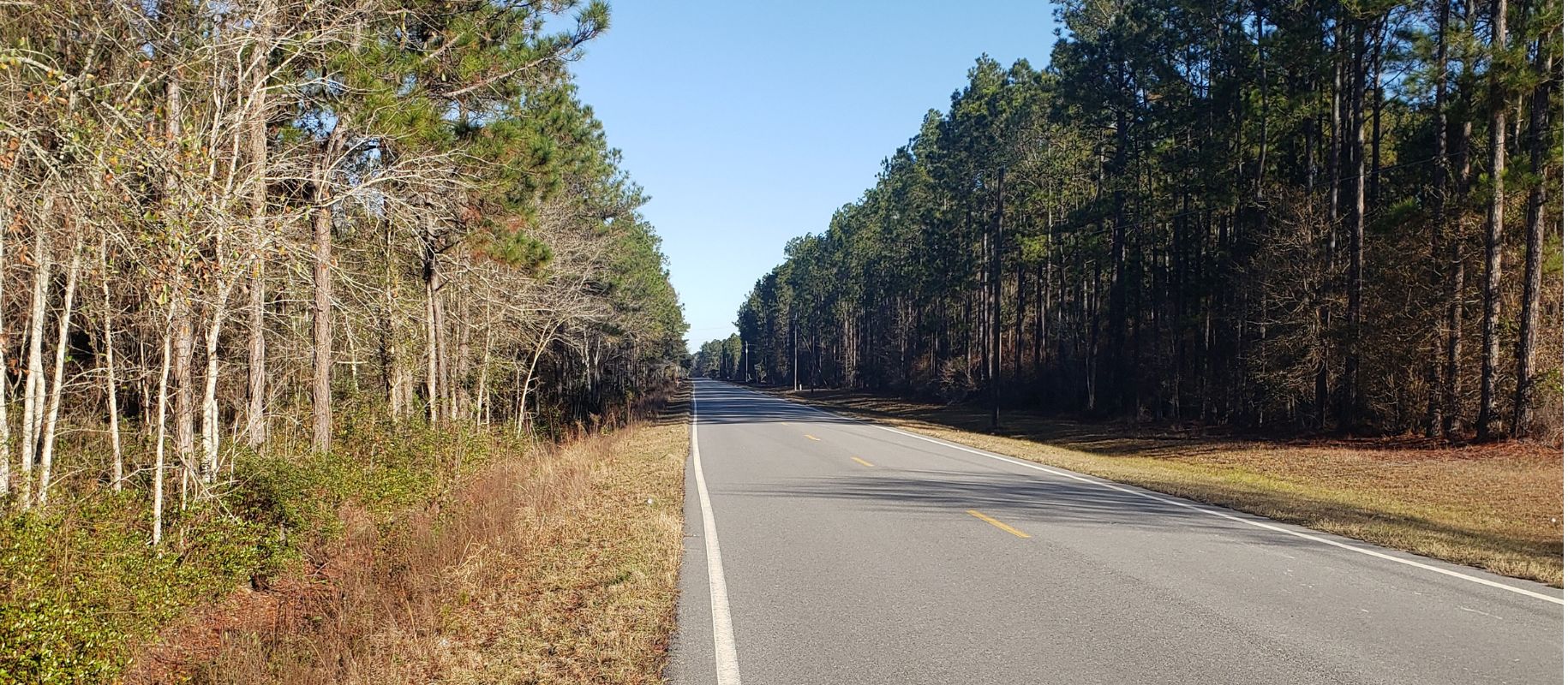 Ash Branch Homesite Main Photo