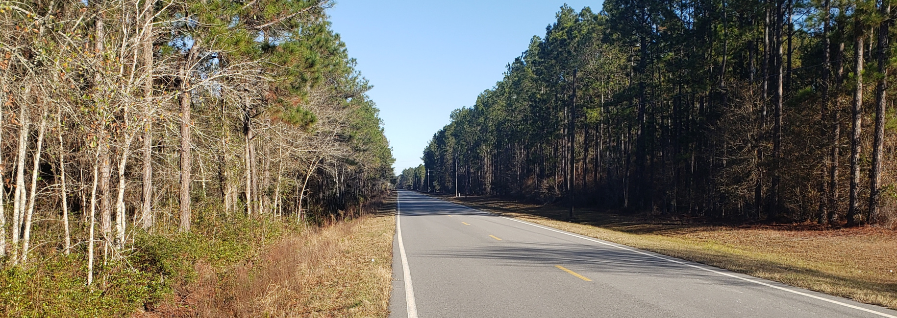 Ash Branch Homesite Photo