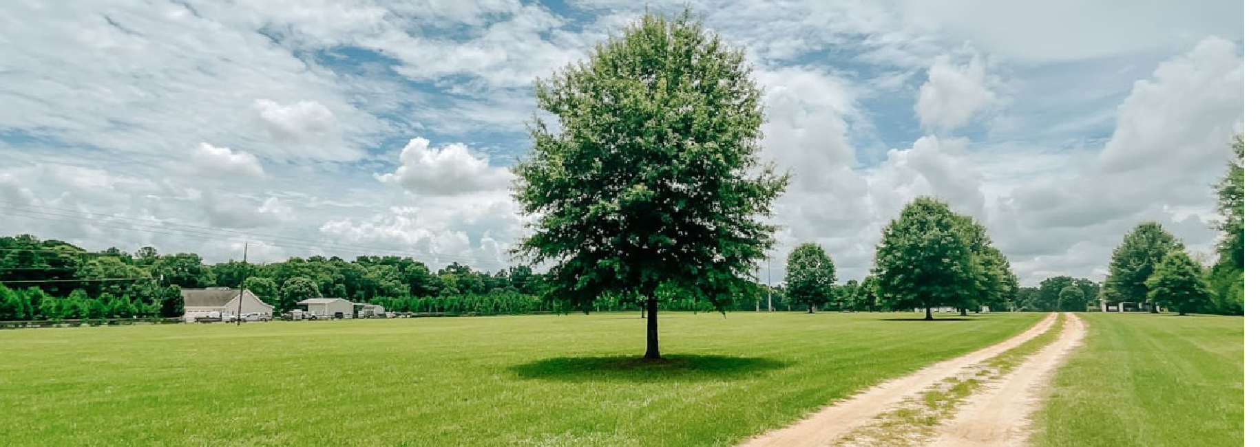 Burkhalter Homesite Main Photo