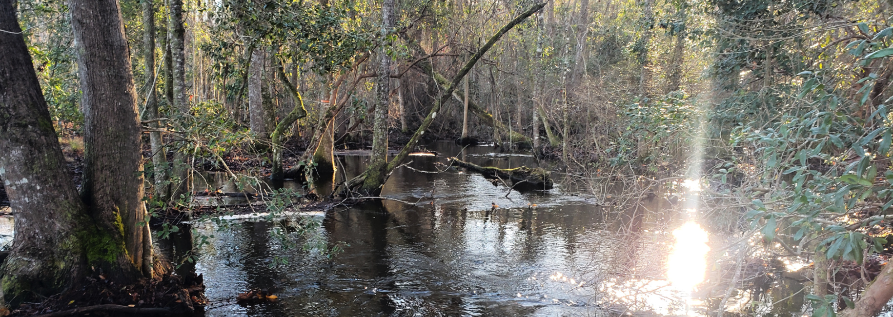 Lawrence Church Recreation/Hunting Main Photo