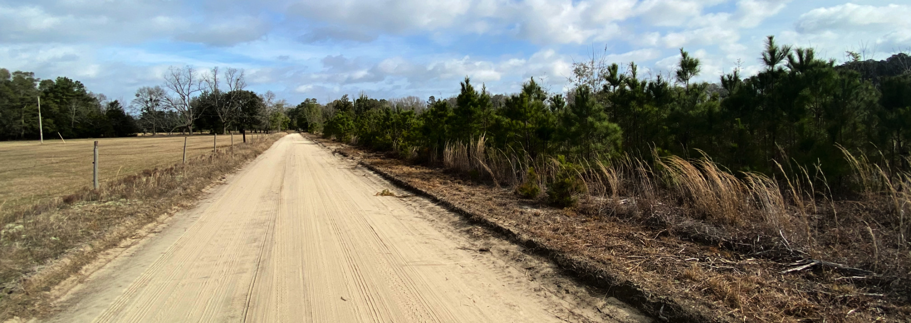 Low Country Timber Main Photo