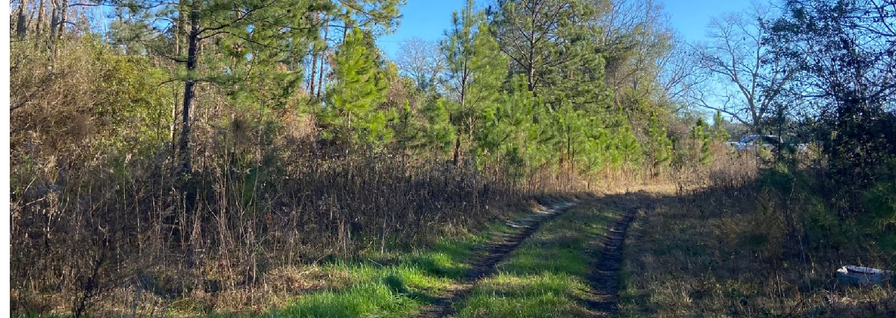 Simons Road Homeplace Main Photo