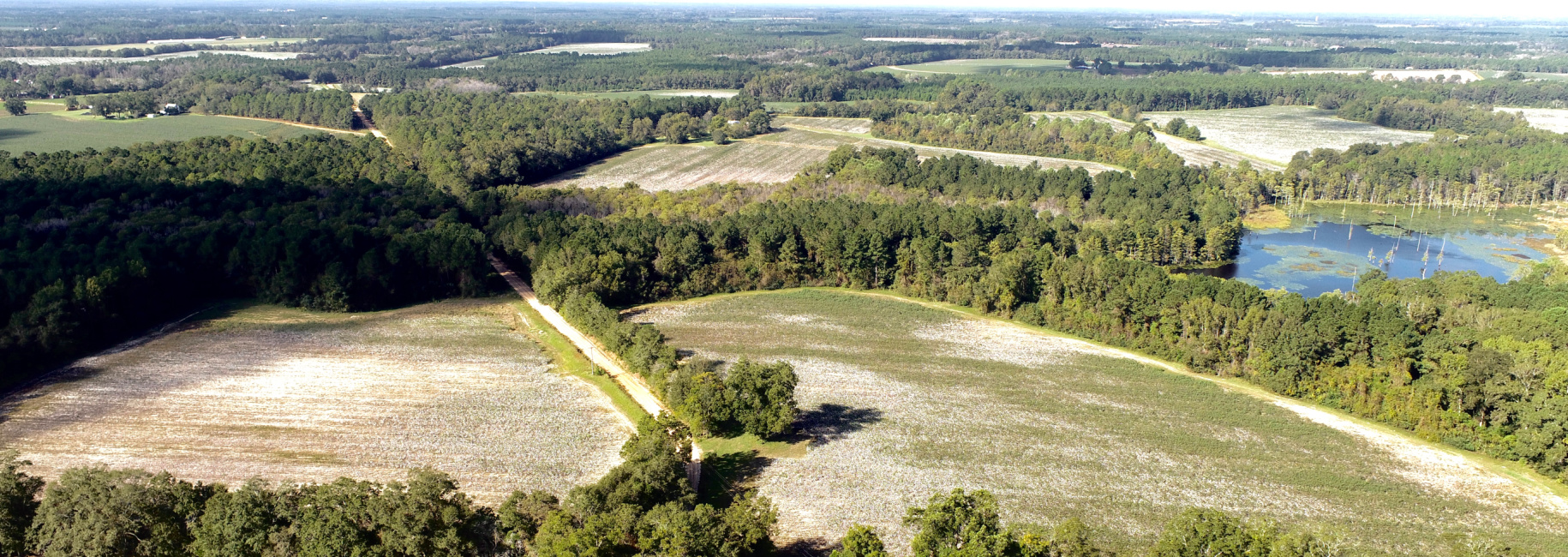 Tillman Pond Farm Main Photo