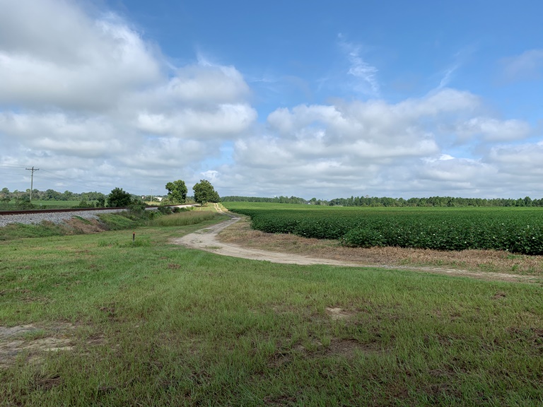 Arabi Plantation Photo