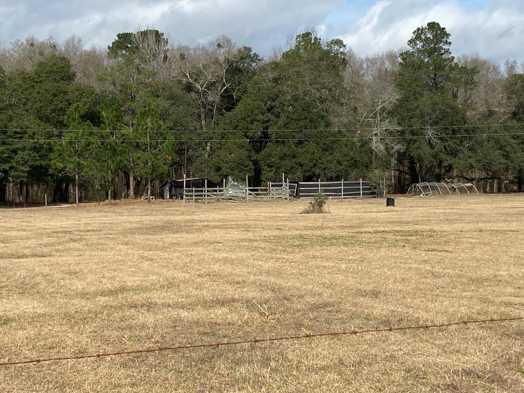 Low Country Timber Photo