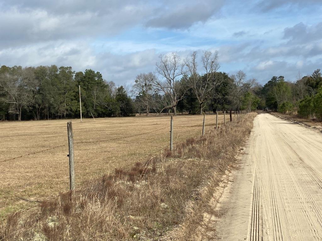 Low Country Timber Photo