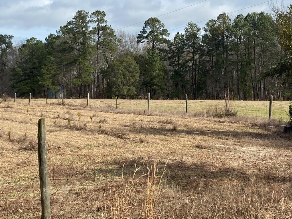 Low Country Timber Photo