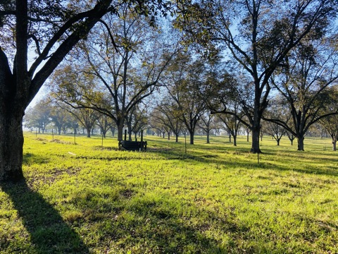 Five Points Ranch Photo