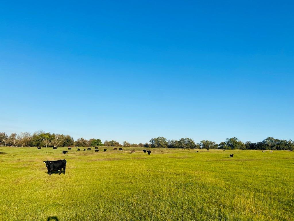 Five Points Ranch Photo