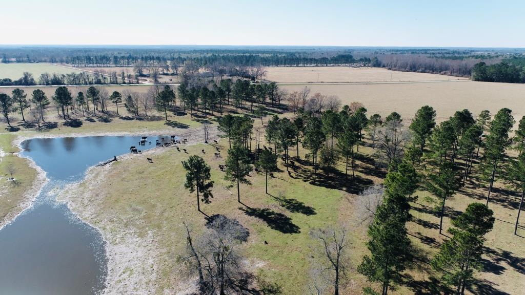 Stoney Bluff Mini Farm Photo