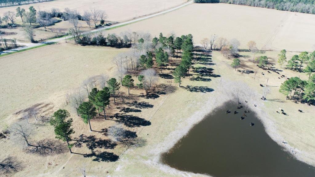 Stoney Bluff Mini Farm Photo