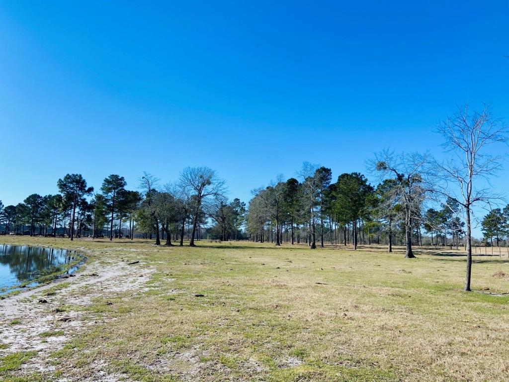 Stoney Bluff Mini Farm Photo