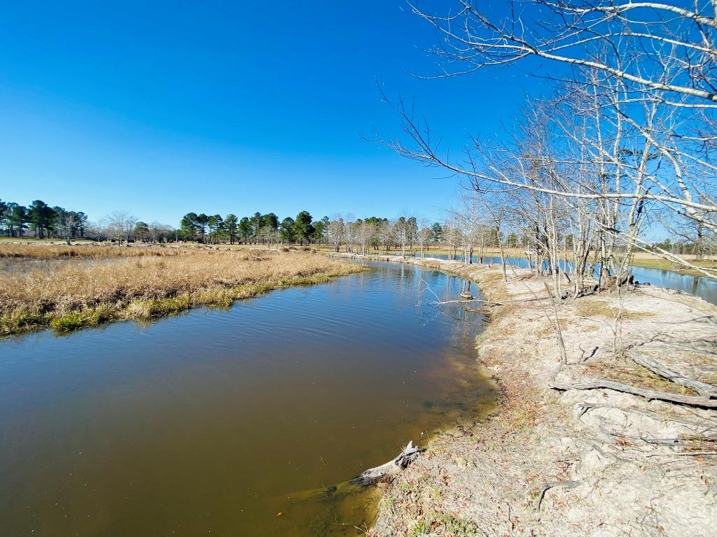 Stoney Bluff Mini Farm Photo