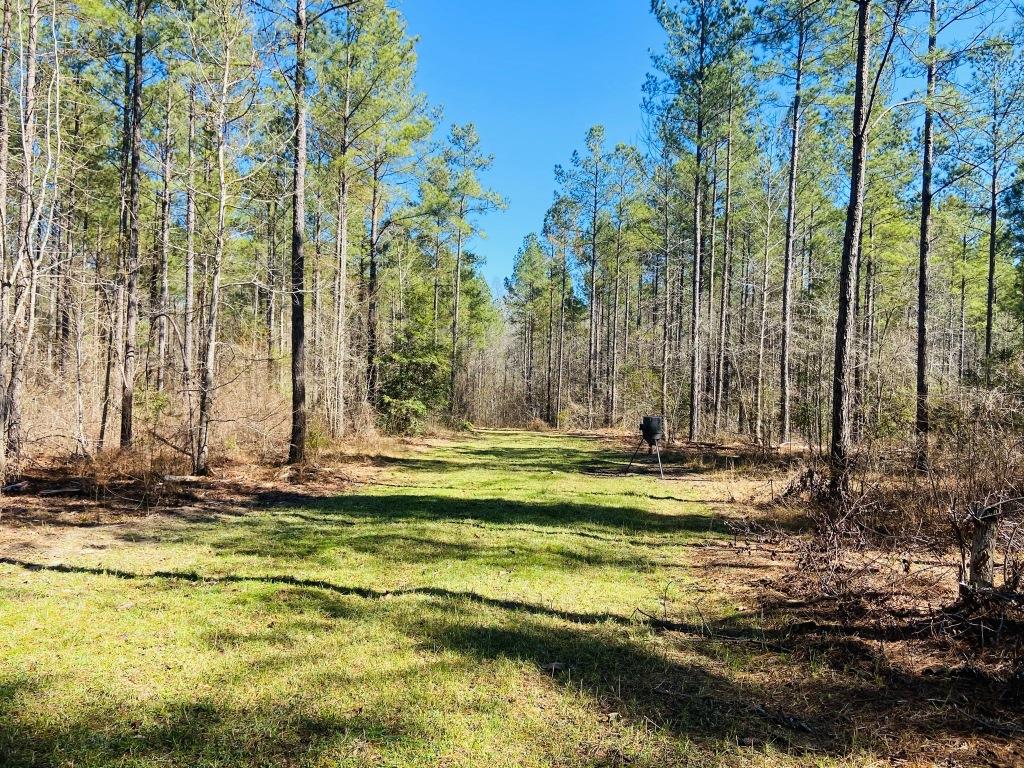 Warren Wildlife Retreat Photo