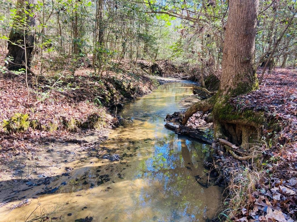 Warren Wildlife Retreat Photo