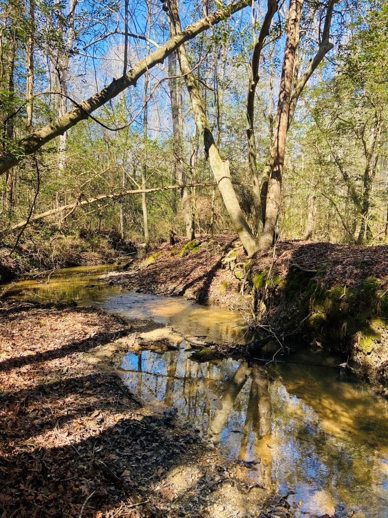 Warren Wildlife Retreat Photo