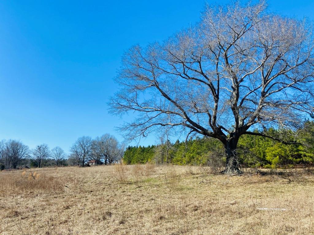 Warren Wildlife Retreat Photo