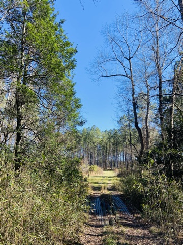 Warren Wildlife Retreat Photo