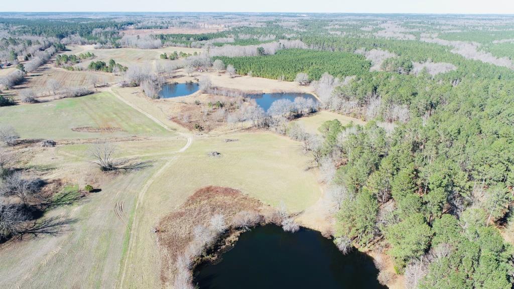 Warren Wildlife Retreat Photo