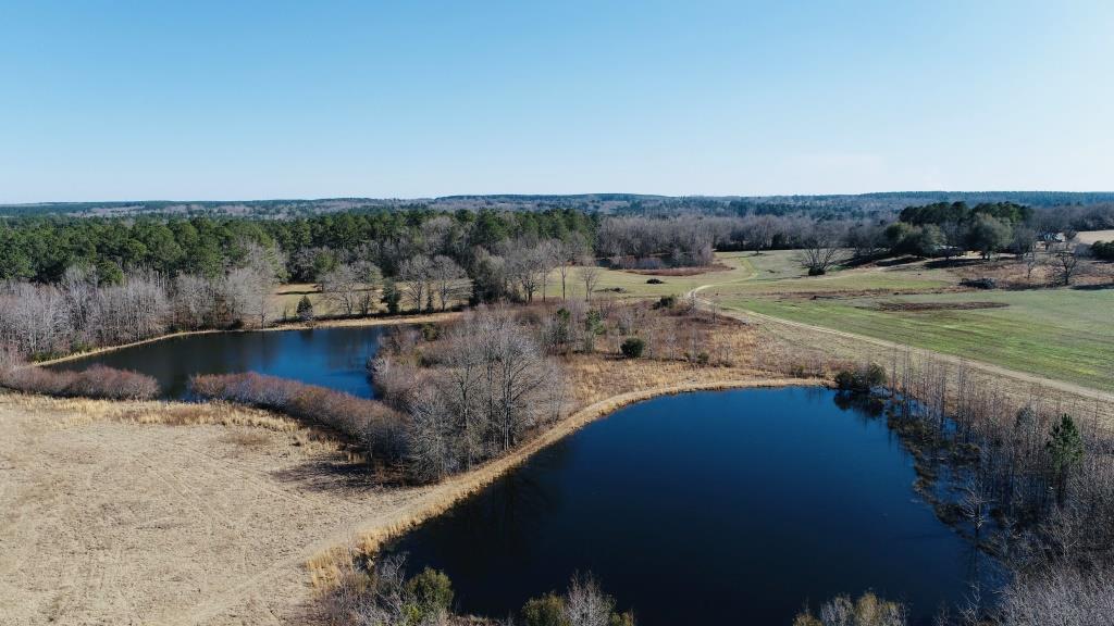 Warren Wildlife Retreat Photo