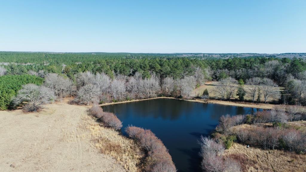 Warren Wildlife Retreat Photo