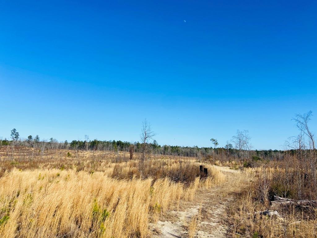 Warren Wildlife Retreat Photo