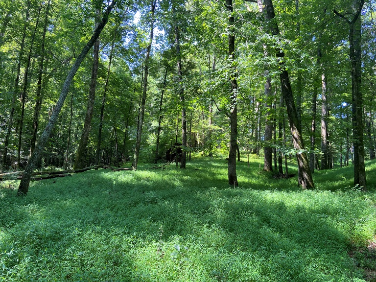 Shiloh Farm Photo