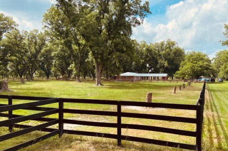 Gibbs Street Mini Farm