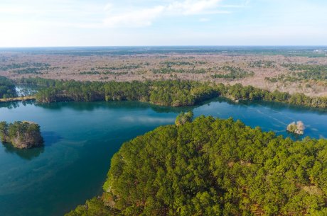 Strickland River Tract