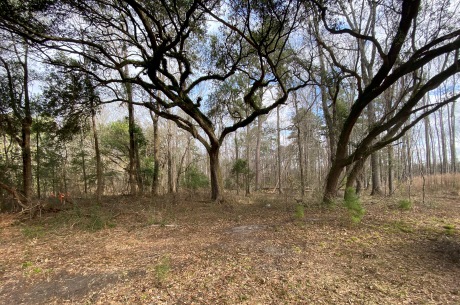 Low Country Timber