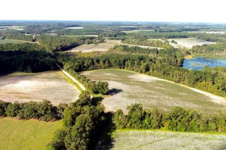 Tillman Pond Farm