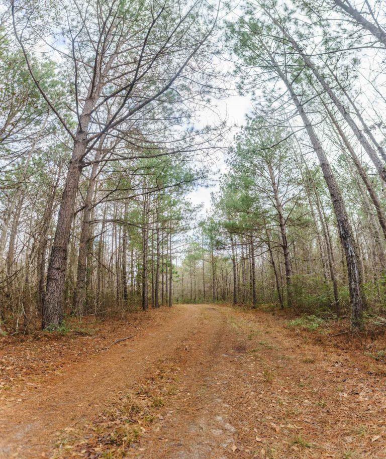 Ponderosa Farm Photo