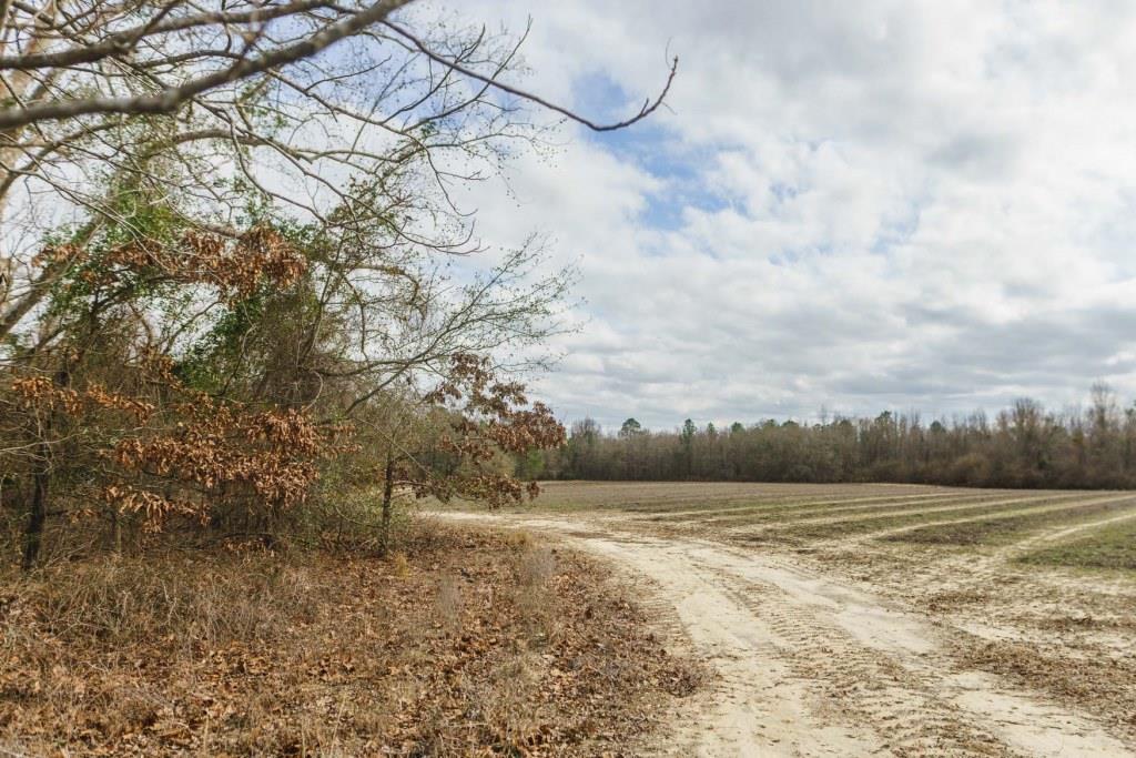 Ponderosa Farm Photo