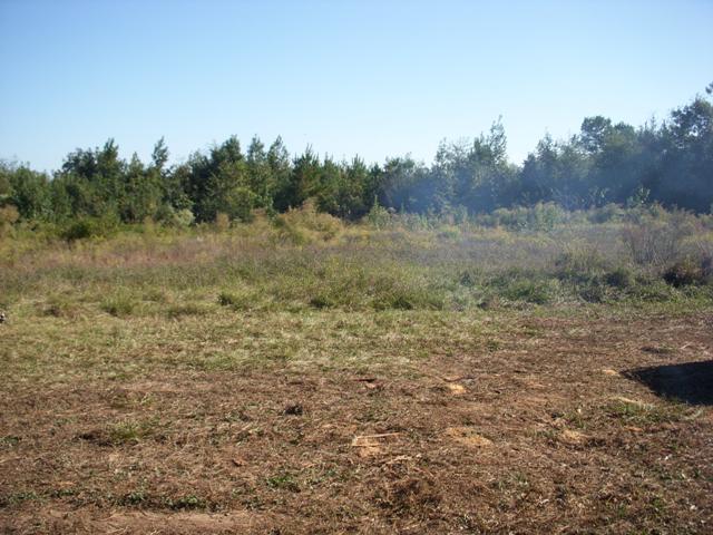 Longview Tract Photo