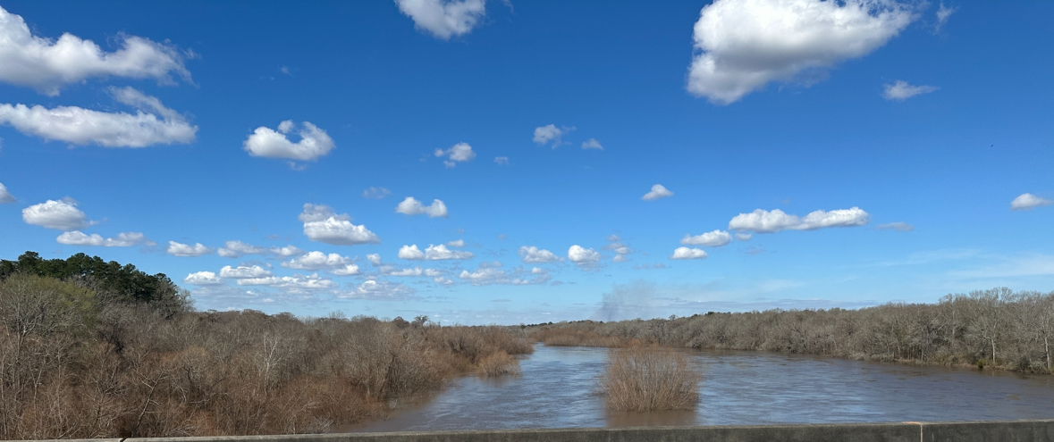 Altamaha High Bluff Photo