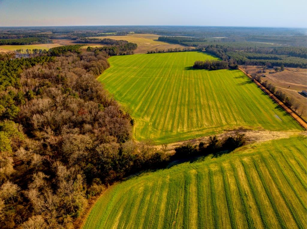 Five Chop Farm Photo