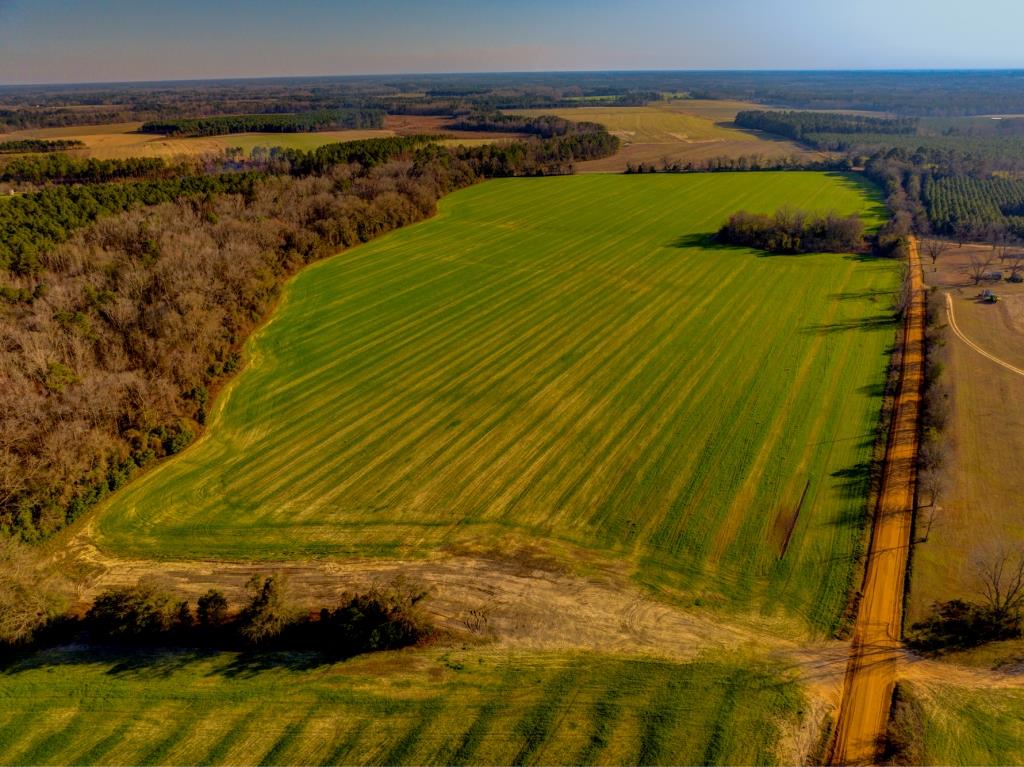 Five Chop Farm Photo