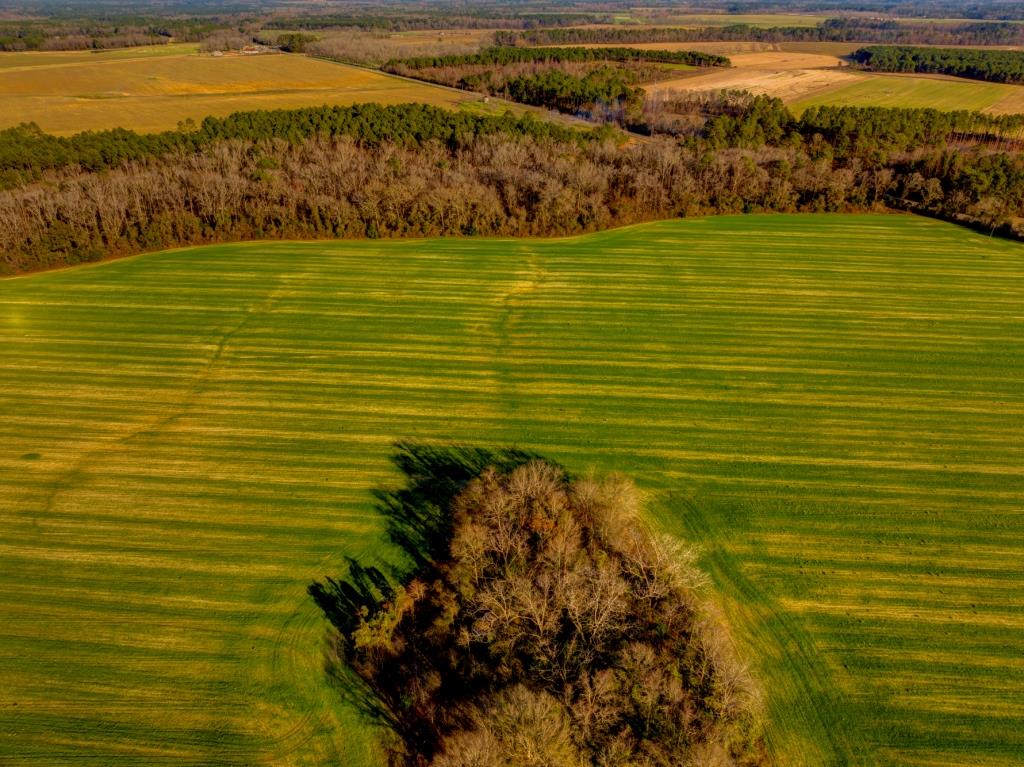 Five Chop Farm Photo