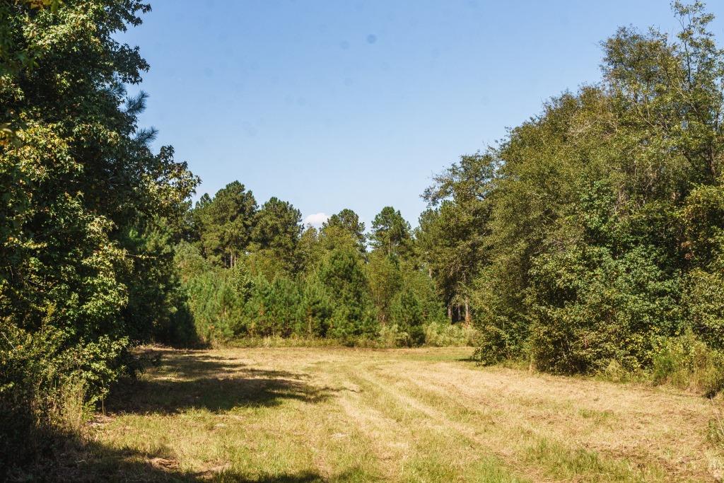 Watson Road Farm Photo